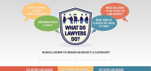 What Do Lawyers Do?